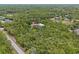 Overhead shot showing a property surrounded by dense trees in a tranquil, natural setting at 41128 Apple St, Eustis, FL 32736