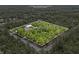 An aerial view shows a home with a metal storage building, and lush green trees defining the property lines at 41128 Apple St, Eustis, FL 32736