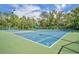 Well-maintained community tennis court surrounded by lush green landscaping at 611 Campus St # 160, Celebration, FL 34747