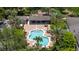 Aerial view of the community pool area surrounded by palm trees and lounge chairs at 1062 Wickerwood St, Ocoee, FL 34761
