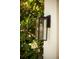 Elegant outdoor lantern amidst lush greenery, enhancing the home's curb appeal at 13631 Via Roma Cir, Clermont, FL 34711
