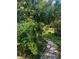 Lush backyard garden with stone pathway and mature trees creates a peaceful outdoor space at 748 W Florence Ave, Deland, FL 32720
