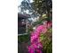 Charming home featuring a screened porch surrounded by vibrant pink azaleas, and a lush, mature magnolia tree at 748 W Florence Ave, Deland, FL 32720