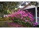 Curb appeal of a home with bright pink azaleas lining the front, offering a colorful welcome under a large magnolia tree at 748 W Florence Ave, Deland, FL 32720
