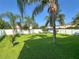 Large backyard with a privacy fence, mature palm trees, and green grass at 1208 Castleport Rd, Winter Garden, FL 34787