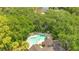 An aerial view showcasing the community pool nestled among mature trees, offering a serene retreat at 1525 Farrindon Cir, Lake Mary, FL 32746