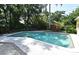 Backyard swimming pool with patio area surrounded by lush landscaping at 2810 Nancy St, Orlando, FL 32806