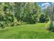 View of the expansive backyard with dense, mature landscaping providing privacy at 4052 Gilder Rose Pl, Winter Park, FL 32792