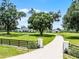 A picturesque view of the home with a long driveway, a lush lawn, and mature shade trees enhancing the property's curb appeal at 5478 Nw 153Rd Ct, Morriston, FL 32668