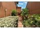 A brick path leads to a fenced in area of a two story house with brown siding at 105 Oaks Ct, Sanford, FL 32771