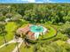 Aerial view of community pool with palm trees and landscaped surroundings at 1222 Golden Canna Ln, Celebration, FL 34747