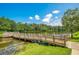 Community wooden dock extending onto a lake with lush greenery and blue skies at 1222 Golden Canna Ln, Celebration, FL 34747