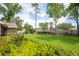 Expansive backyard with lush green lawn, surrounded by mature trees and beautiful landscaping for outdoor enjoyment at 1600 N Wind Ct, Winter Springs, FL 32708