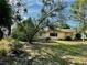 Single-story home with a cozy backyard featuring mature trees and a simple outdoor space at 2 Clear Pl, Ocala, FL 34472