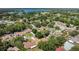 A picturesque aerial view reveals a neighborhood with mature trees, providing a sense of tranquility and natural beauty at 3014 Linmont Ln, Eustis, FL 32726