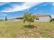 Spacious backyard with privacy fence and young tree is ready for your imagination! at 3953 Baja Dr, St Cloud, FL 34772