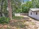A backyard showcasing a large tree and the exterior of the property, creating a serene setting at 7679 Bent Bow Trl, Winter Park, FL 32792