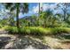 Lush backyard with a screened patio, mature palms, and tropical greenery surrounding a paver path at 102 Ichabod Trl, Longwood, FL 32750
