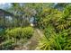 Lush backyard with a walkway leading to a shed, surrounded by tropical foliage and a screened patio at 102 Ichabod Trl, Longwood, FL 32750