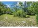 A serene land lot featuring lush greenery, a green grass patch and sandy ground at 102 Ichabod Trl, Longwood, FL 32750