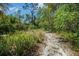 A serene land lot featuring lush greenery, mature trees and sandy ground at 102 Ichabod Trl, Longwood, FL 32750