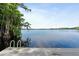 Waterfront view of a serene lake, viewed from the dock with a swim ladder at 1550 Bluewater Run, Chuluota, FL 32766