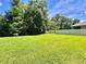 Spacious backyard featuring lush lawn, trees, and perimeter fencing at 6780 Coral Berry Dr, Mount Dora, FL 32757
