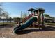 Community playground with slide, perfect for Gathering fun at 6780 Coral Berry Dr, Mount Dora, FL 32757