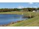 Scenic view of a serene pond surrounded by lush greenery and trees at 6780 Coral Berry Dr, Mount Dora, FL 32757