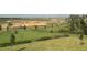 Beautiful backyard view featuring a black fence, landscaping and undeveloped land at 7980 Syracuse Dr, Clermont, FL 34714