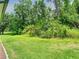 Lush green backyard with dense trees and natural foliage creating a private outdoor oasis at 10875 Arbor View Blvd, Orlando, FL 32825