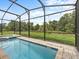 Backyard pool with screened-in patio and green space at 1999 Tropical Palms Cir, Kissimmee, FL 34747