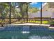 Close-up view of the pool waterfall and landscaping within the screened enclosure at 5335 Bay Side Dr, Orlando, FL 32819