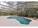 Private pool with screened enclosure and native landscaping at 1203 Stone Harbour Rd, Winter Springs, FL 32708