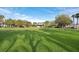 Expansive community park with lush green grass and mature trees at 14312 Paradise Tree Dr, Orlando, FL 32828