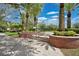 Park entrance with brick planters, palm trees, steps, and a 'Town Park' sign at 14312 Paradise Tree Dr, Orlando, FL 32828