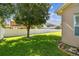 Lush green backyard featuring a manicured lawn, mature shade tree, and privacy fence, perfect for relaxing at 4133 Foxhound Dr, Clermont, FL 34711