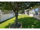 Green backyard with mature shade tree, manicured lawn, offering a serene and private outdoor oasis at 4133 Foxhound Dr, Clermont, FL 34711