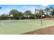 Community basketball court featuring multiple hoops and well-maintained green surface for recreational play at 5220 Red Coral Cir, Mount Dora, FL 32757