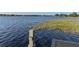 Lakeside view from dock showing waterfront weeds and ripples on the water at 7550 John Hancock Dr, Winter Garden, FL 34787