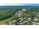 This aerial shows a scenic neighborhood of homes nestled amongst lush trees at 267 Osprey Hammock Trl, Sanford, FL 32771