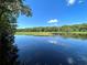Scenic water view with lush green trees, aquatic vegetation, and clear blue sky, creating a tranquil setting at 267 Osprey Hammock Trl, Sanford, FL 32771