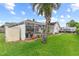 Lush backyard view showcasing the enclosed pool, palm tree, and ample green space at 407 Westchester Dr, Altamonte Springs, FL 32701
