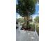 Spacious backyard featuring a custom treehouse, hammock, and deck area at 6428 Lynn Rd, Orlando, FL 32810