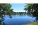 Lake view framed by trees showcasing serene beauty and tranquility at 6428 Lynn Rd, Orlando, FL 32810