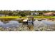Picturesque backyard with a covered dock on a lily pad covered pond surrounded by mature trees at 7706 Ficquette Rd, Windermere, FL 34786