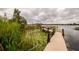 Scenic view of a wooden dock extending into a tranquil lake with lily pads and lush vegetation at 8335 Lake Burden Circle, Windermere, FL 34786
