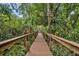 Scenic wooden boardwalk amidst a vibrant green forest, offering a peaceful nature walk at 9455 Belmont Ter, Oviedo, FL 32765