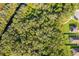 Aerial view shows a home bordering a heavily wooded conservation area with a creek flowing through it at 16379 Blooming Cherry Dr, Groveland, FL 34736