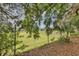 View of the backyard featuring a chain-link fence and mature landscaping, offering privacy and natural beauty at 2132 Palm Vista Dr, Apopka, FL 32712